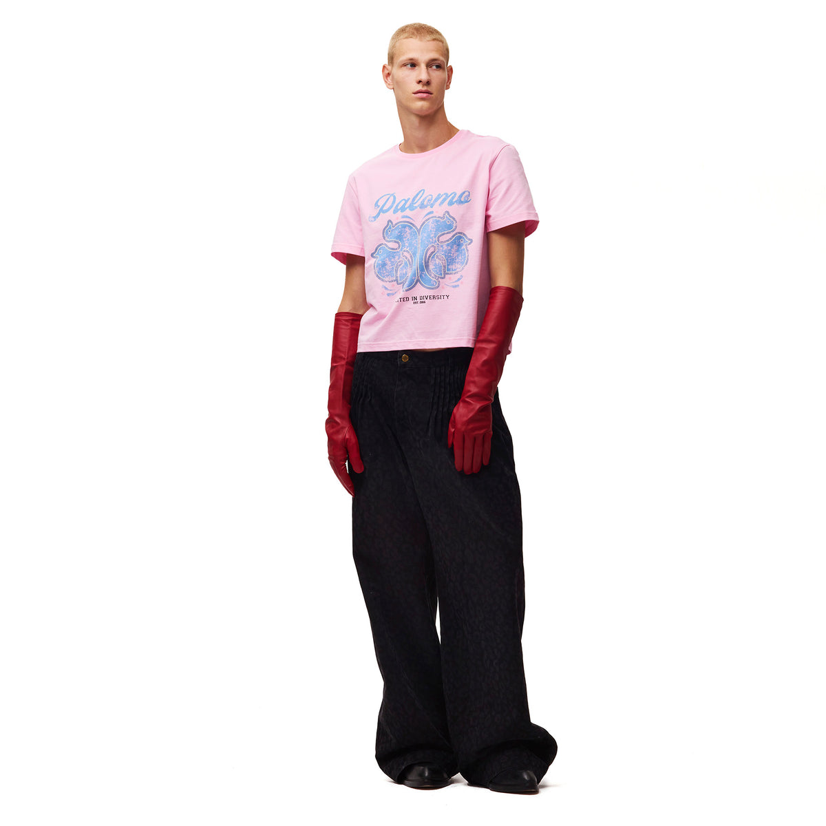 Shop Secondary Image