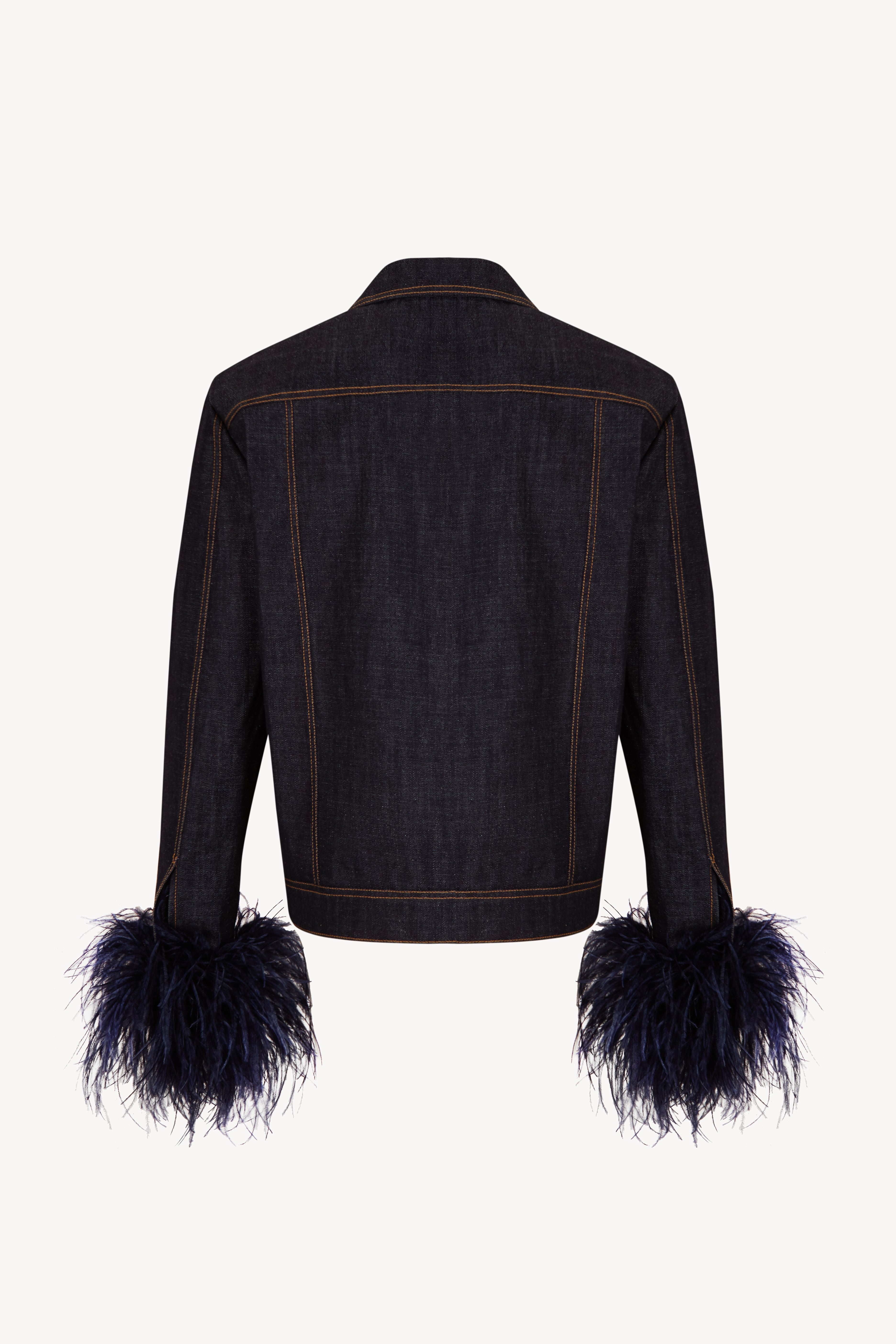 The Vampire Denim Jacket