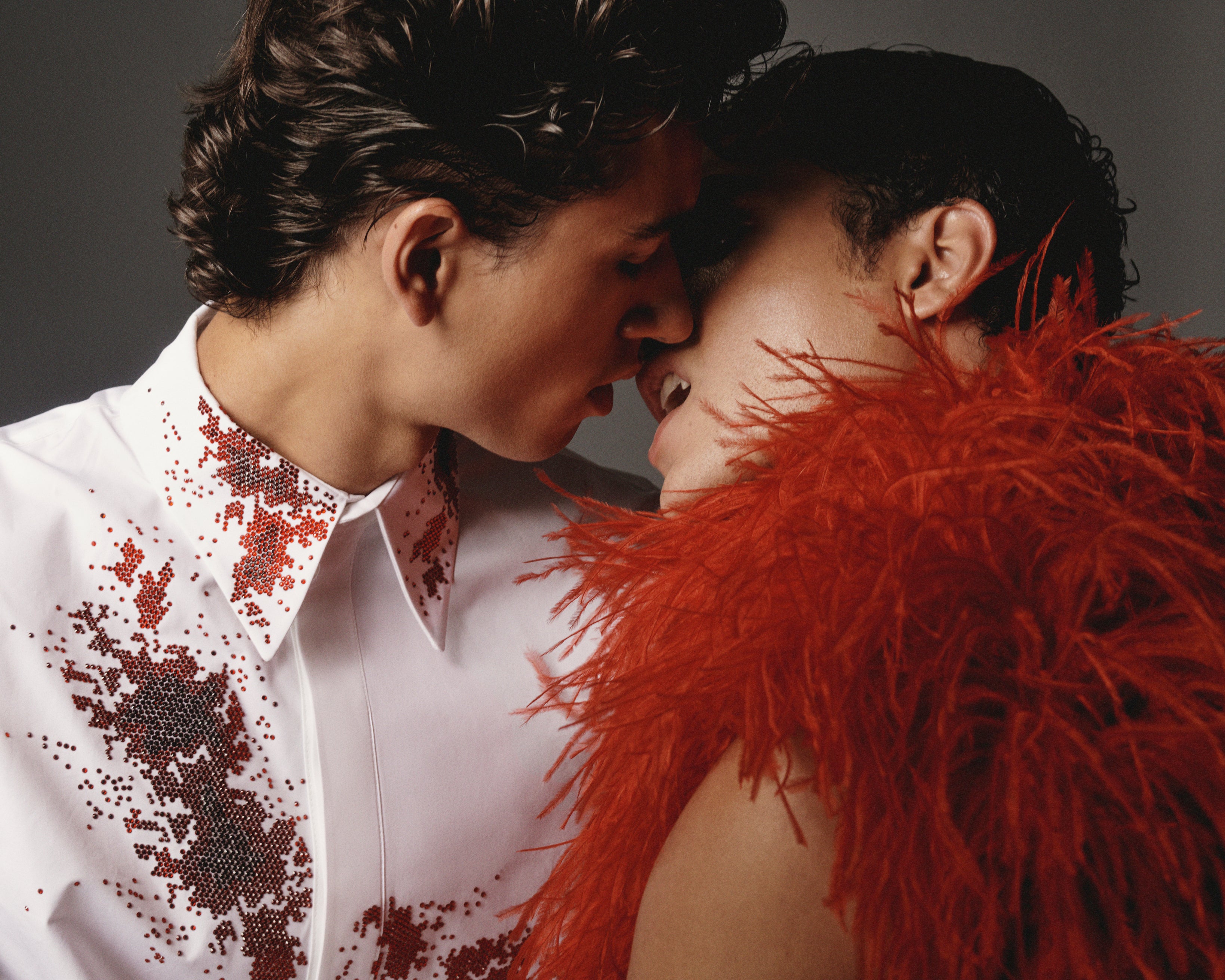 The Vampire Red Feathers Boa